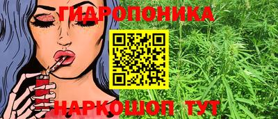 индика Севастополь
