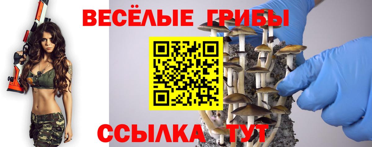 Галлюциногенные грибы ЛСД Новоалтайск